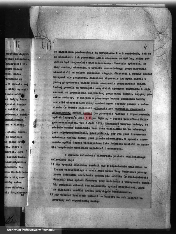 Obraz 8 z jednostki "Zalesienie nieużytków w powiecie mogileńskim"