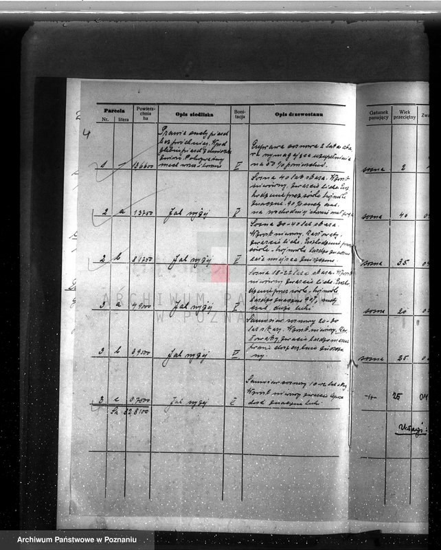 Obraz 8 z jednostki "Program gospodarczy dla lasu Adolfa Witta w gminie Jasionna powiat szamotulski"