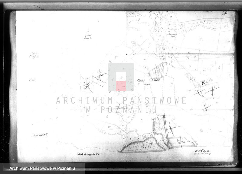 Obraz 6 z jednostki "Dodatkowy plan urządzenia gospodarstwa leśnego majątku Śródka powiat międzychodzki"