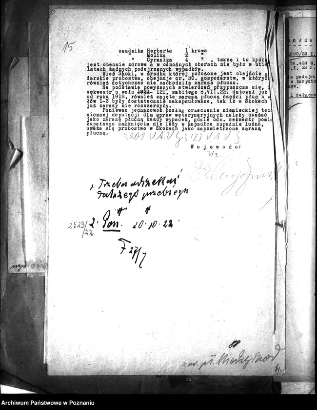 Obraz 19 z jednostki "Zaraza płucna - Międzychód"