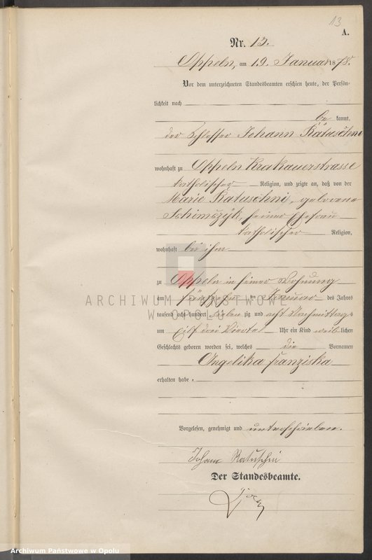 Obraz 17 z jednostki "Urząd Stanu Cywilnego w Opolu 1878 Rejestr Urodzeń Księga Miejscowa Nr 1 do 487"
