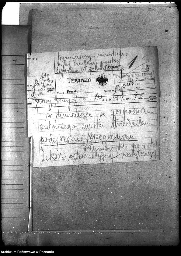 Obraz 5 z jednostki "Księgosusz - Nowy Tomyśl"