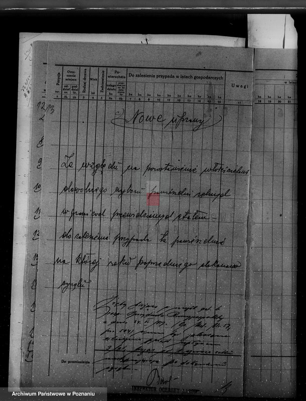 Obraz 17 z jednostki "/Nadzór nad gospodarką leśną w majętności Hutka w powiecie czarnkowskim"