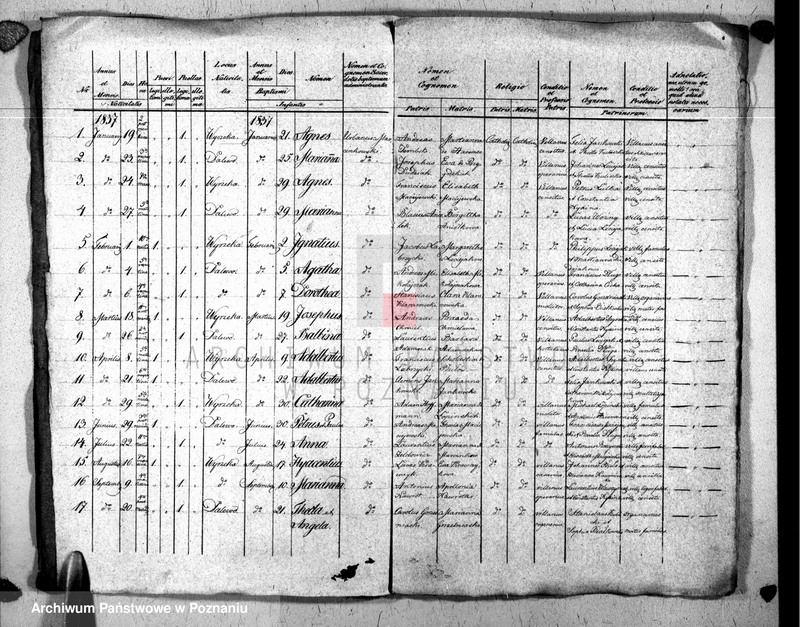 Obraz 3 z jednostki "Liber baptisatorum, copulatorum u. mortuorum"
