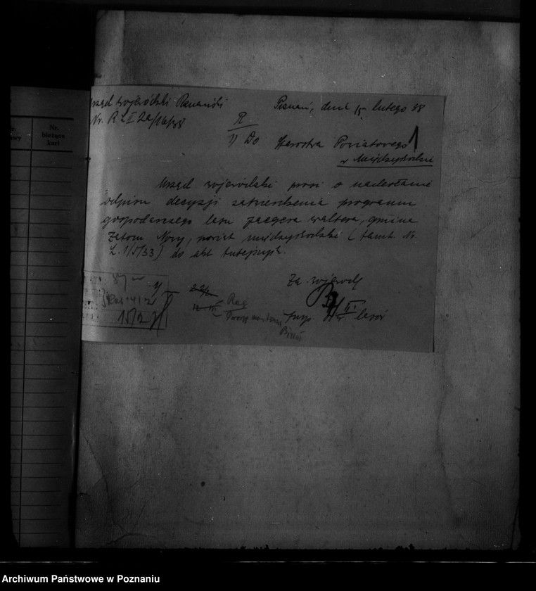 Obraz 5 z jednostki "Las majętności Zatom Nowy własność Waltera Jaegera powiat międzychodzki"