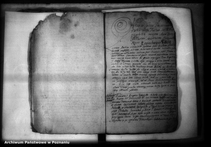 Obraz 7 z jednostki "Iuramenta [protocollon]"