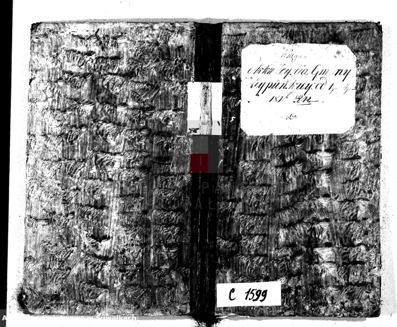 Obraz 2 z jednostki "Księga Aktów Zeyscia Gminy Leypuńskiej Od 1 go Stycznia 1816 Ru"