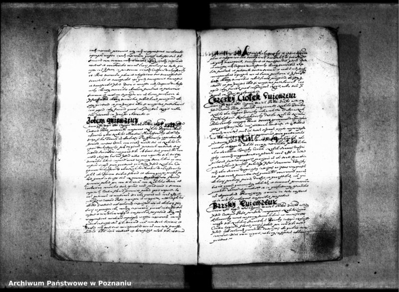 Obraz 10 z jednostki "Inscriptiones [inducta]"