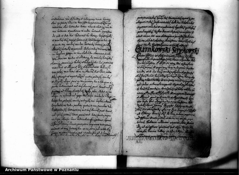 Obraz 9 z jednostki "Inscriptiones [inducta]"