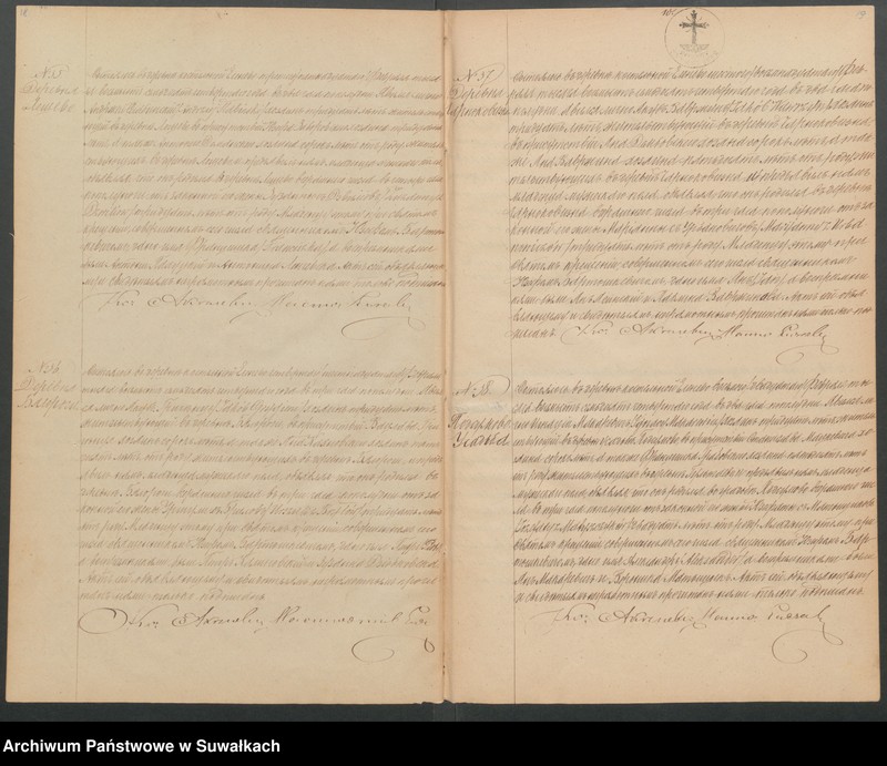 Obraz 12 z jednostki "Duplikat Elenevskago Prichoda s 1874 goda"