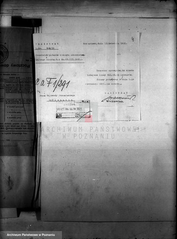 Obraz 8 z jednostki "Administracja miasta Rostarzewa"