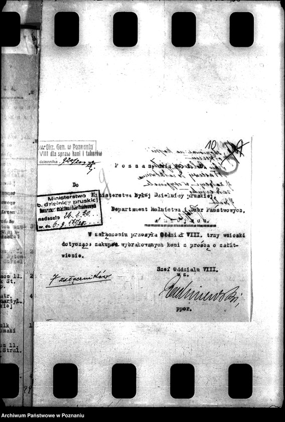 Obraz 14 z jednostki "Konie wojskowe dla ludności cywilnej"