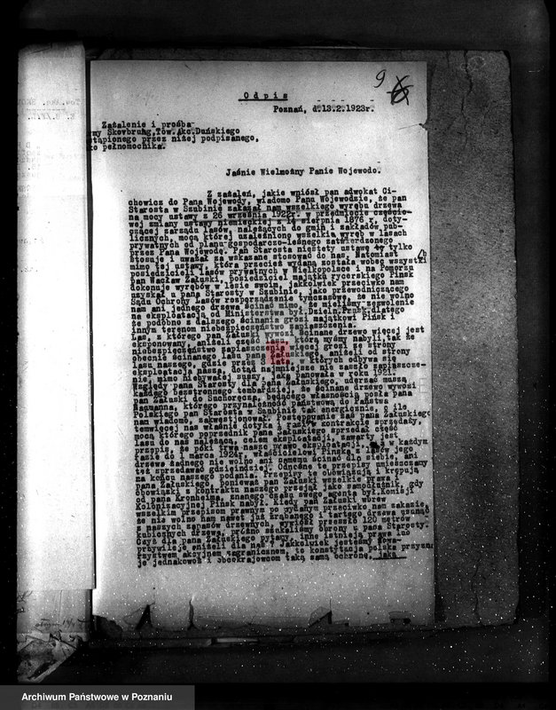 Obraz 13 z jednostki "Majętność leśna Pińsko powiat szubiński"