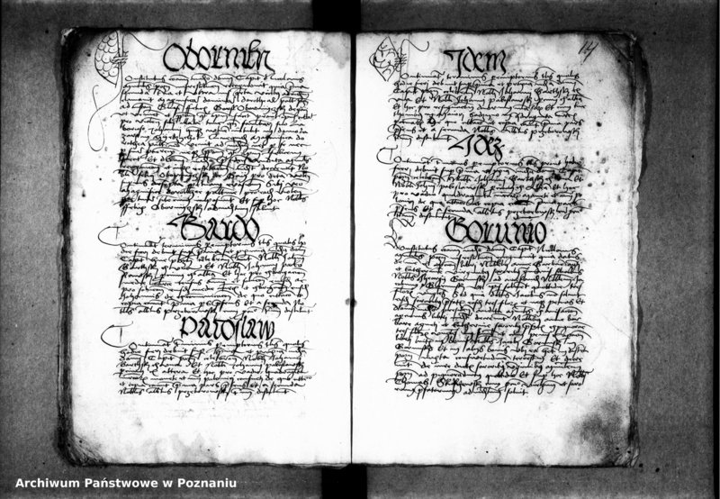 Obraz 17 z jednostki "Inscriptiones, relationes, decreta [inducta]"