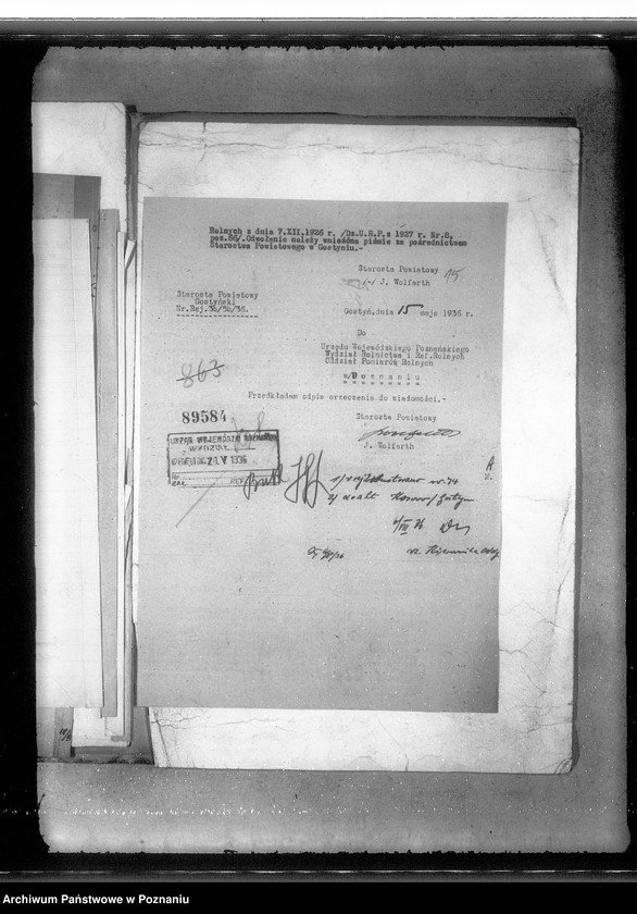 Obraz 19 z jednostki "Parcelacja prywatna Pępowo powiatu gostyńskiego"