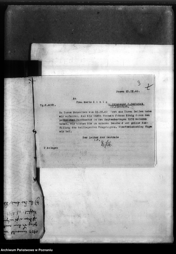 Obraz 7 z jednostki "Johann König ans Ottensund, Kreis Dietfurt (Żnin)"