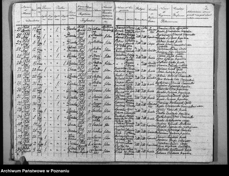 Obraz 6 z jednostki "Duplikat baptisatorum, copulatorum u. mortuorum"