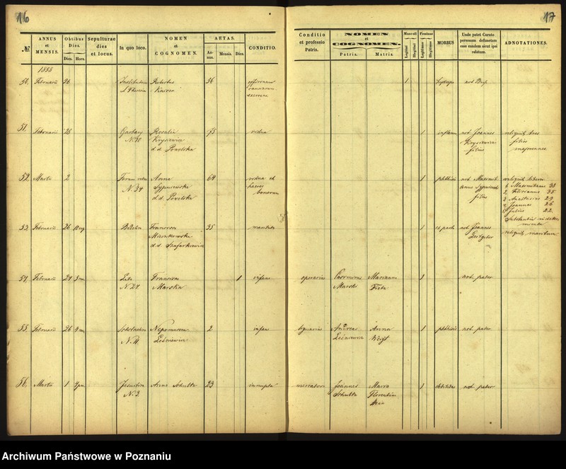 Obraz 11 z jednostki "Księga zgonów"