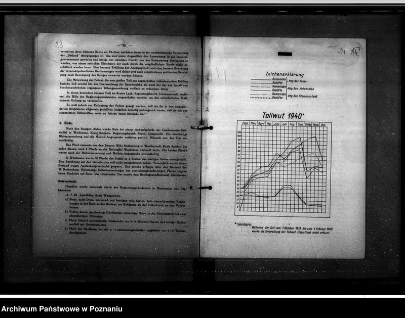 Obraz 19 z jednostki "Jahresveterinärberichte"
