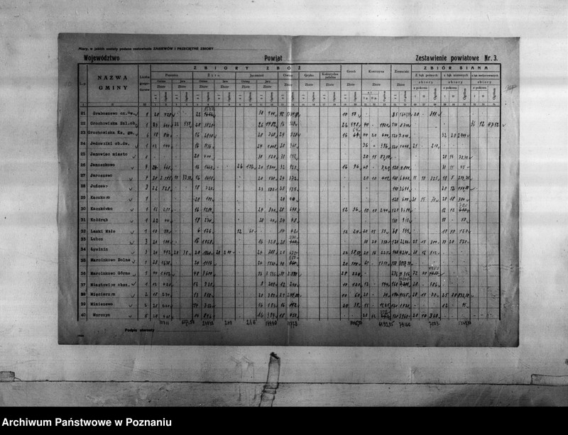 Obraz 11 z jednostki "Statystyka produkcji rolnej - zestawienie z powiatu żnińskiego"