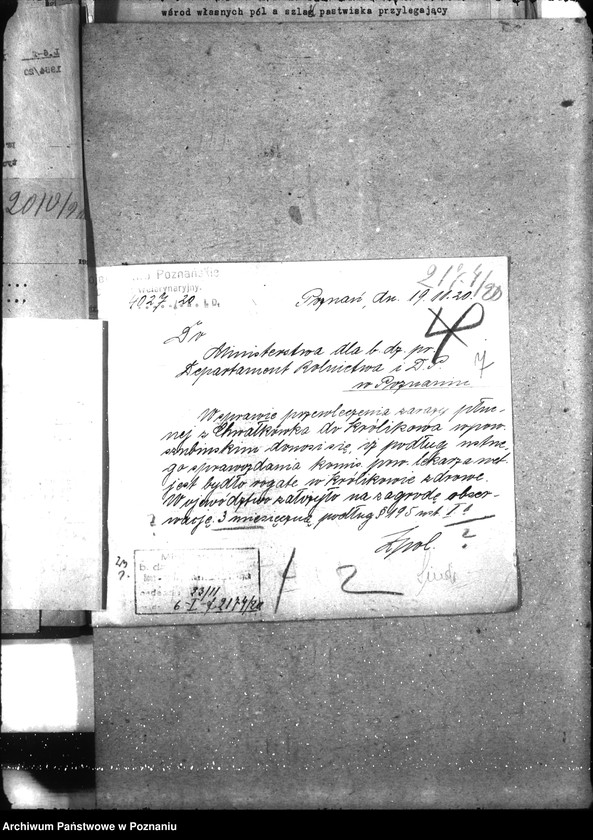 Obraz 11 z jednostki "Zaraza płucna - Witkowo"