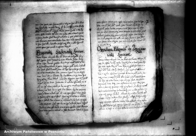 Obraz 9 z jednostki "Decreta iudicii [inducta]"