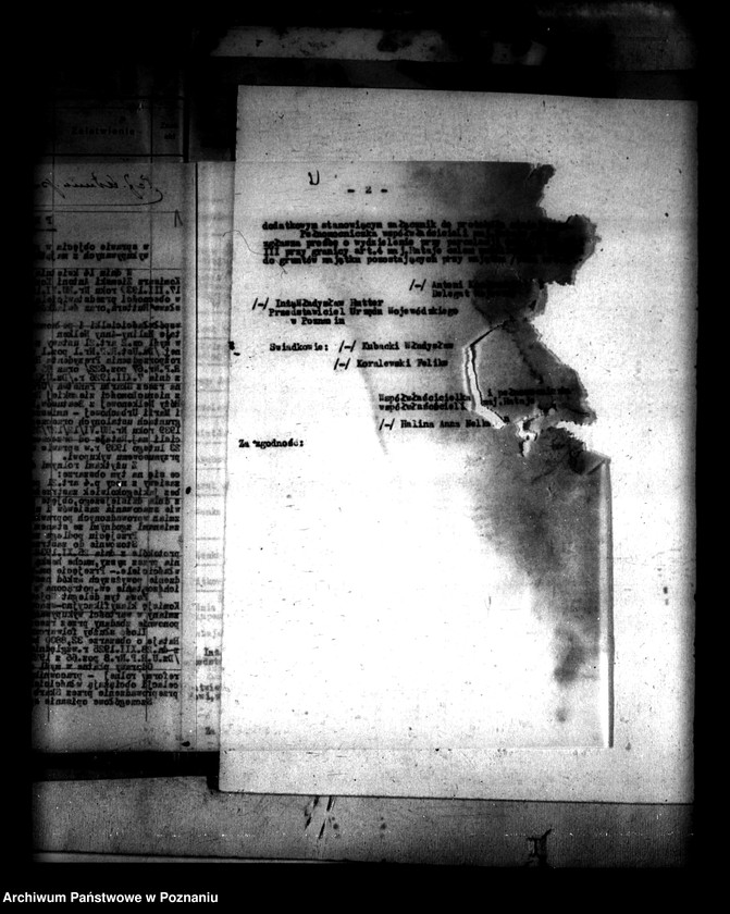 Obraz 6 z jednostki "Administracja przejściowa majątku Rataje powiatu konińskiego"