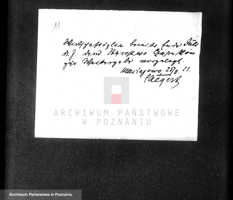 Obraz 15 z jednostki "/Nadzór nad lasami majętności Maciejewo w powiecie czarnkowskim/"