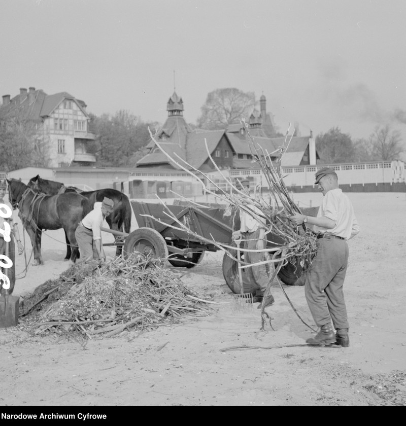 Obraz z jednostki "Żołnierze sprzątają plażę w Sopocie"