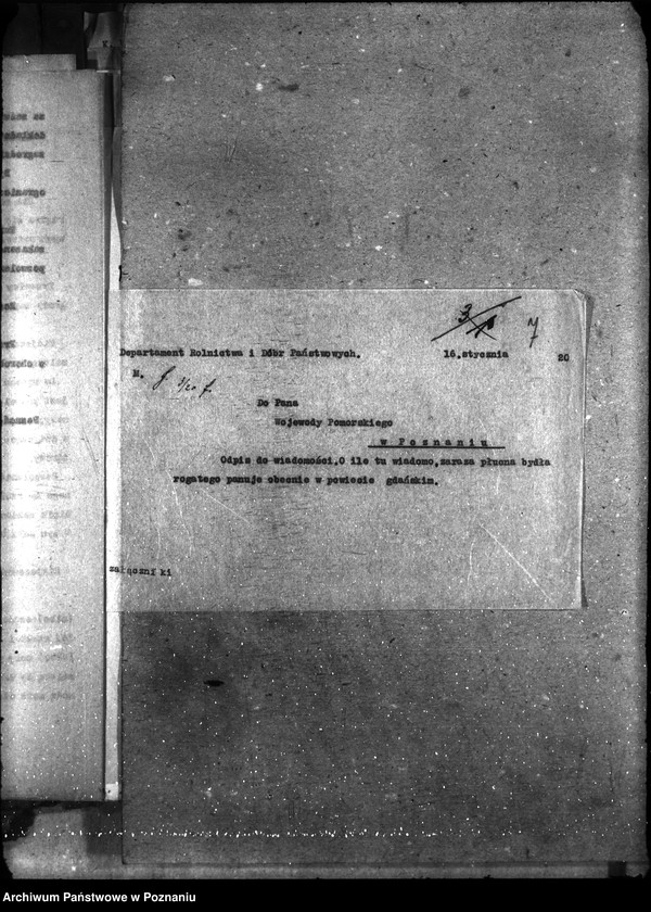 Obraz 11 z jednostki "Sprawy ogólne Wykazy chorób zaraźliwych; [księgosusz, zaraza płucna]"