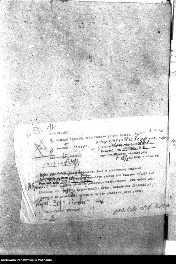 Obraz 18 z jednostki "Pow. lekarz Weterynaryjny Koźmin"