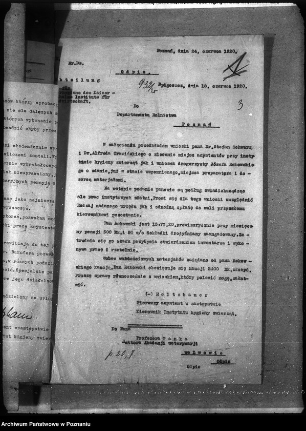 Obraz 7 z jednostki "Instytut Higieny Zwierząt w Bydgoszczy"