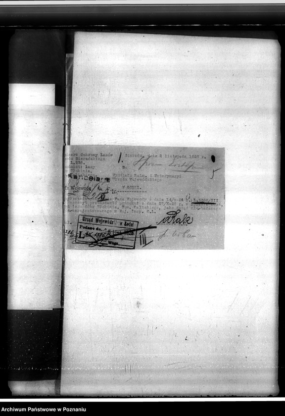 Obraz 9 z jednostki "Sprawa o niedostateczne zalesienie lasu 16,24 ha w majątku Tłokinia"