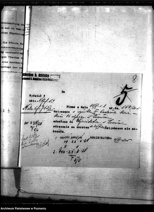 Obraz 12 z jednostki "Nosacizna - Tuchola"