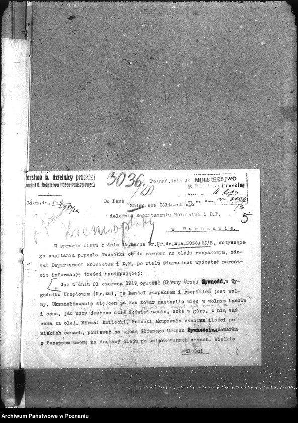 Obraz 9 z jednostki "Ziemiopłody"