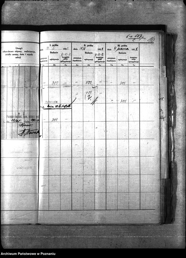 Obraz 20 z jednostki "Nosacizna - Poznań-Zachód"