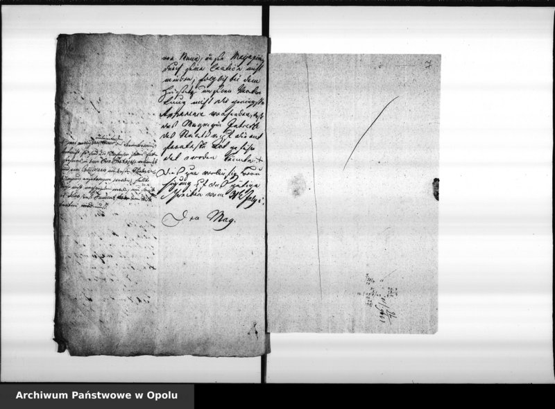 Obraz 8 z jednostki "Acta des Magistrats zu Oppeln betreffend die Manquements des Magazin Rendanten Schreiber pro 1816 Vol. I"