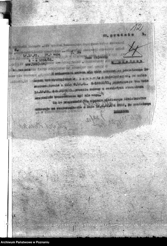 Obraz 16 z jednostki "Pow. lekarz Weterynaryjny Leszno"