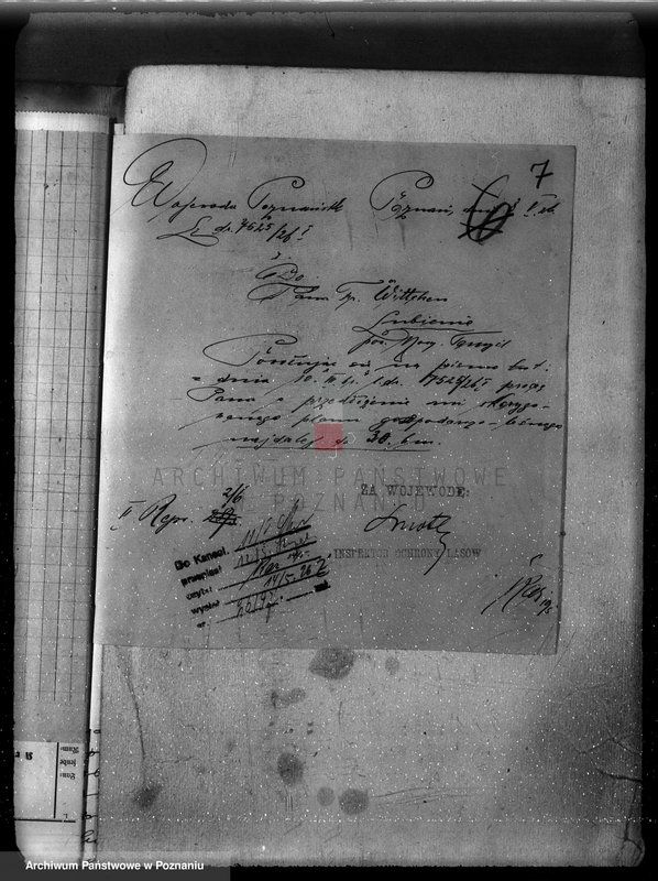 Obraz 11 z jednostki "/Nadzór nad gospodarką w lasach majątku Lubień-Helowskie w powiecie nowotomyskim"