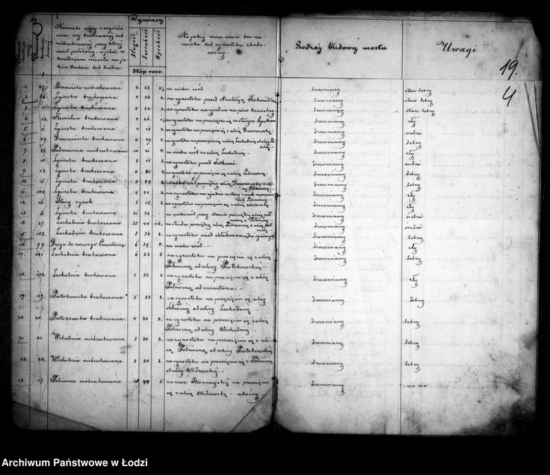 Obraz 7 z jednostki "Operat tyczący się budowy nowych i reparacji starych mostów w mieście Łodzi"