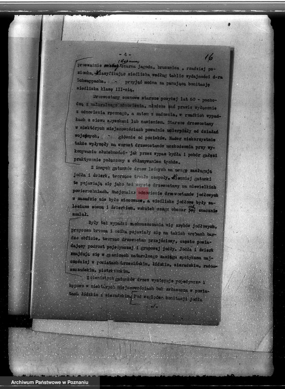 Obraz 19 z jednostki "Sprawa pojawienia się borecznika w lasach majątku Dąbia powiatu kolskiego"