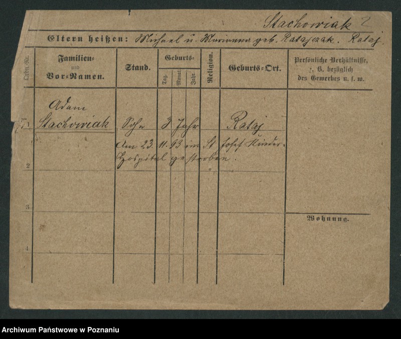 Obraz 9 z jednostki "Stachowiak (samotni mężczyźni i kobiety)"