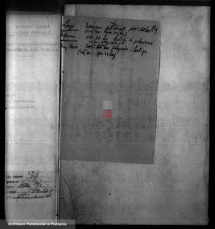 Obraz 19 z jednostki "Zalesienie nieużytków w powiecie nowotomyskim"