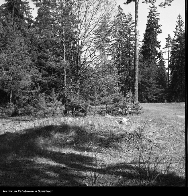 image.from.unit.number "Szwajcaria, okolice Suwałk."