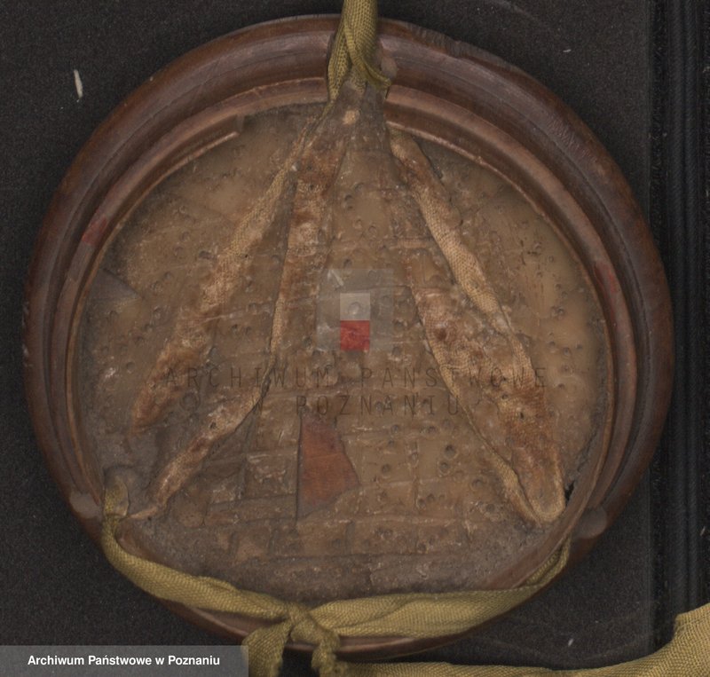 Obraz 2 z jednostki "Or. Jan III, król polski, na prośbę Rafała Leszczyńskiego, starosty wschowskiego, nadaje m. Leszno prawo pobierania podatku od sukna; j."