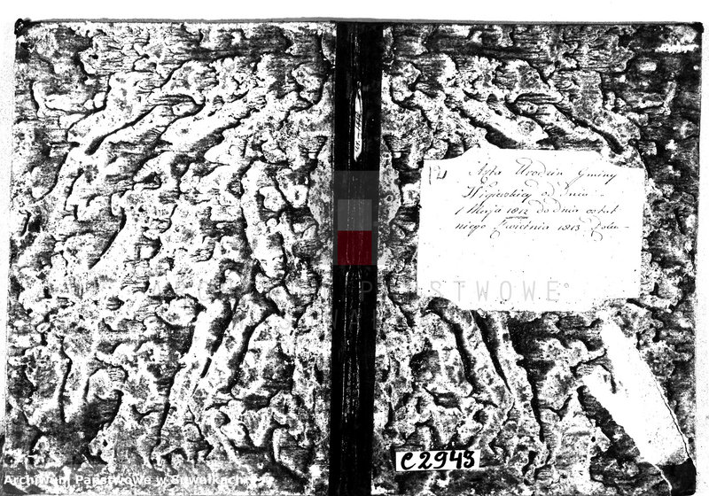 image.from.unit.number "Akta urodzin gminy wigierskiey od 1-go maja 1813 do dnia ostatniego kwietnia 1814 roku"