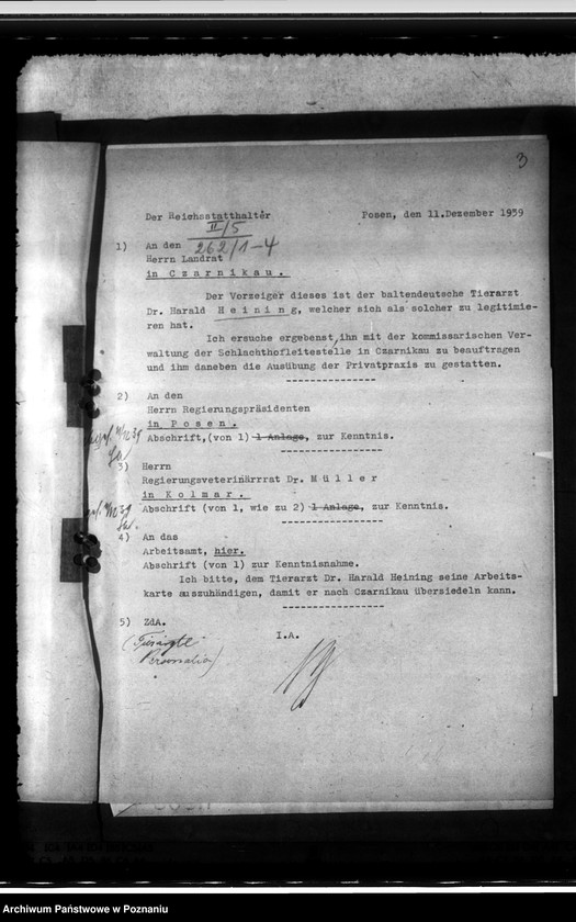 Obraz 7 z jednostki "Einsatz der Tierärzte"