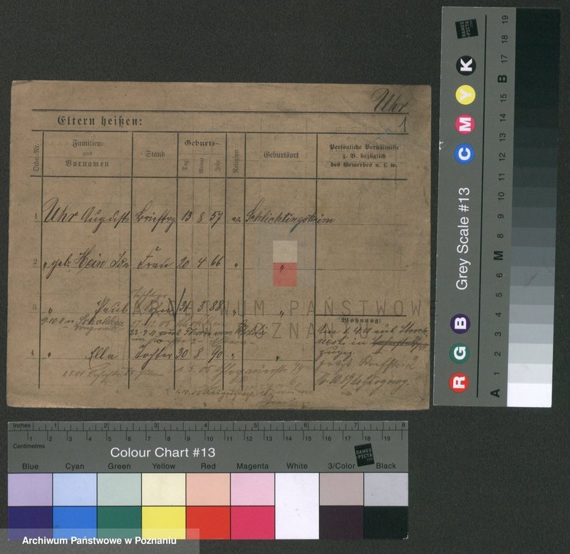 Obraz 5 z jednostki "Ur - Urbanek"