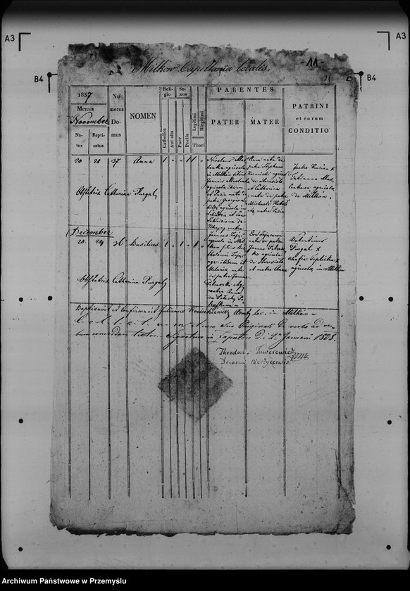 image.from.unit.number "[Kopie ksiąg metrykalnych parafii Miłków (dekanat Lubaczów)]"