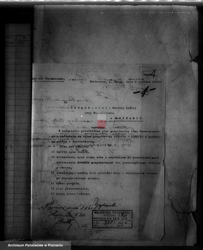 Obraz 6 z jednostki "Nadzór nad gospodarką w lasach majętności Markowice powiat mogileński"